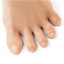 指先が自由だから安定して歩きやすく、指先の動きが活発になり足指を冷えから守ります。一日中、指先サラサラで気持ちいい。