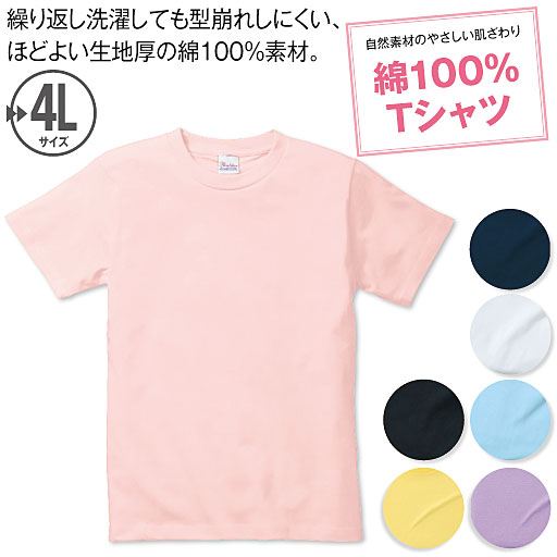 【レディース】 カラーTシャツ(半袖)