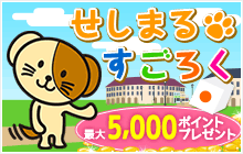 せしまるすごろく
