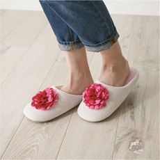 レディース ルームシューズ コットン 綿100 通販 セシール Cecile
