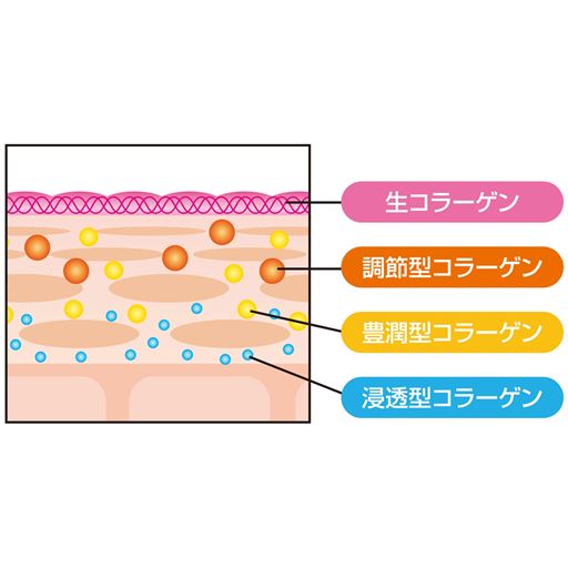 ビューナ 四種のコラーゲン液 セシール Cecile
