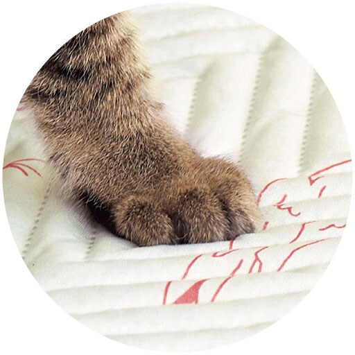 マルチカバー(爪が引っ掛からないタイプ) ペット(ねこ)の爪とぎ防止 ソファの傷汚れ防止 洗濯機で丸洗いOK(ネット使用) セシール