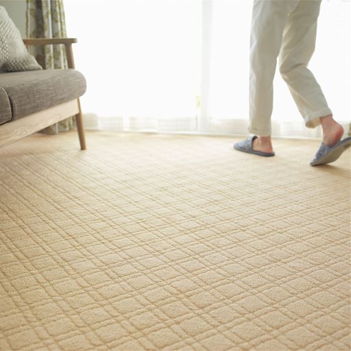 ループパイルカーペット 防ダニ 防音 足音軽減ラグ ホットカーペット床暖房対応 クッション性 セシール Cecile