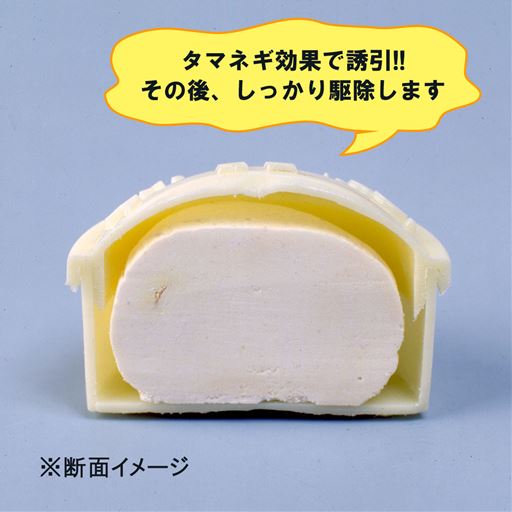 ゴキキャップ セシール Cecile ゴキキャップ セシール Cecile