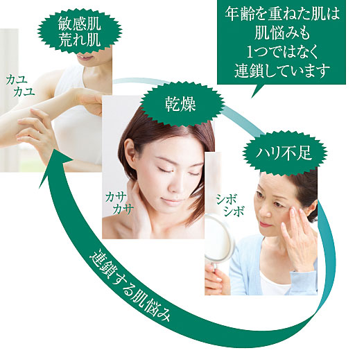 イミニ リペアセラム オールインワン Lps配合 セシール Cecile