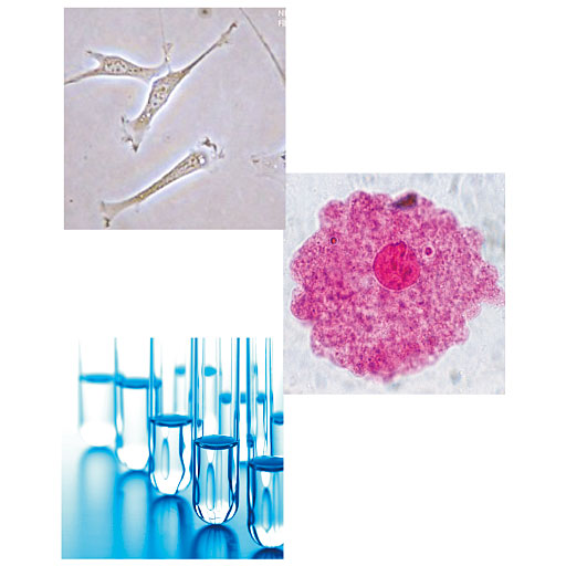 イミニ リペアセラム オールインワン Lps配合 セシール Cecile