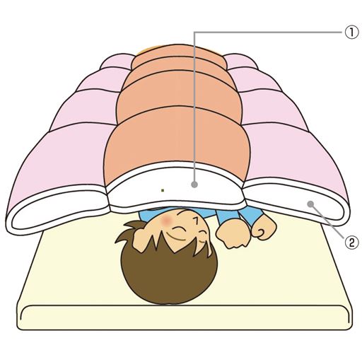 暖かカバー付羽毛掛布団3点セット 羽毛掛布団 毛布カバー 枕カバー セシール Cecile