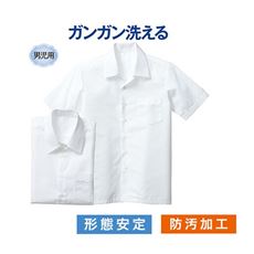 おすすめ白シャツ 半袖 通販 セシール Cecile