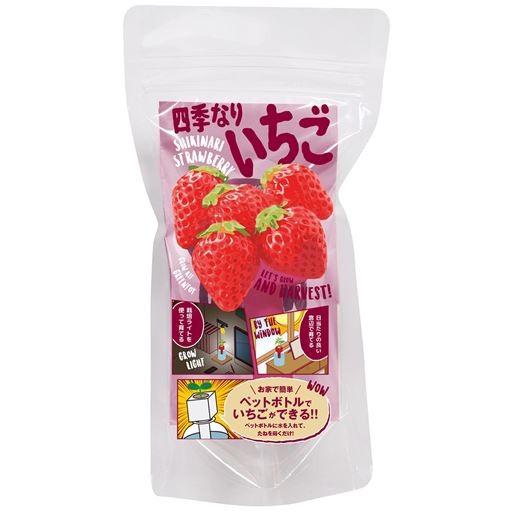 ペットボトル水耕栽培用種子 3種セット プチトマト 四季なりイチゴ 枝豆 セシール Cecile ペットボトル水耕栽培用種子 3種セット プチトマト 四季なりイチゴ 枝豆 セシール Cecile