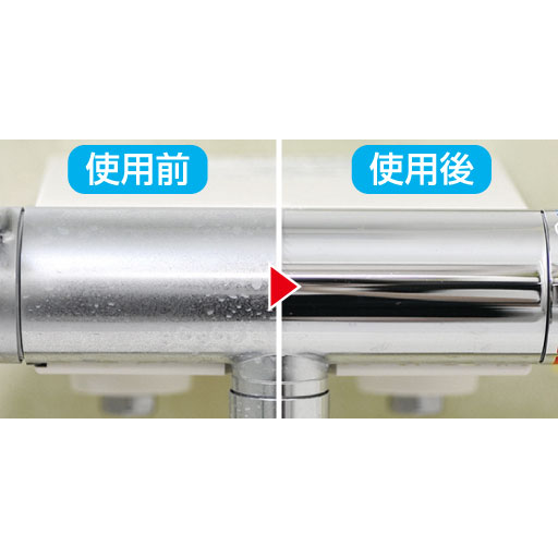 乳酸クリーナー セシール Cecile