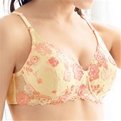 超厚手カップブラ プチバストさんのブラ ノンワイヤー モールドフルカップ セシール Cecile