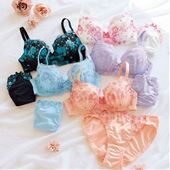 ブラジャー ショーツペア 花刺しゅうレース ソフトワイヤー入り 3 4カップ セシール Cecile ブラジャー ショーツペア 花刺しゅうレース ソフトワイヤー入り 3 4カップ セシール Cecile