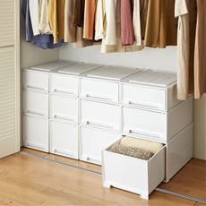 衣装ケース通販 セシール Cecile