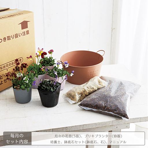 頒布 プランツコーディネートコース 鉢あり セシール Cecile 頒布 プランツコーディネートコース 鉢あり セシール Cecile