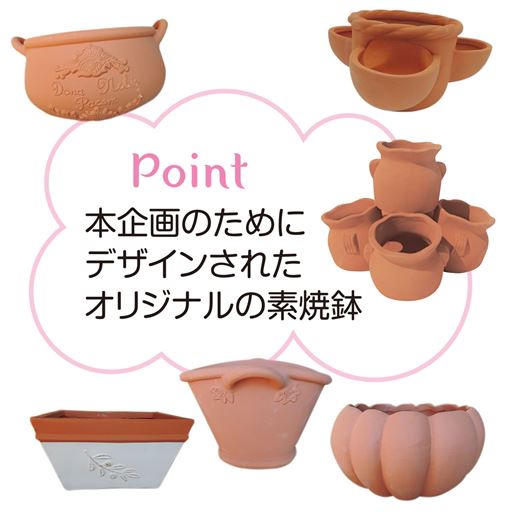 頒布 らくらく華やかガーデンコース セシール Cecile