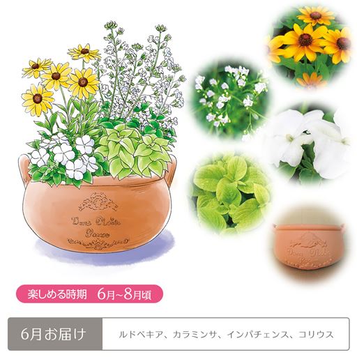 頒布 らくらく華やかガーデンコース セシール Cecile