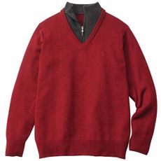 おすすめ洗えるセーターメンズ 通販 セシール Cecile