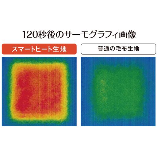 120秒後のサーモグラフィ画像