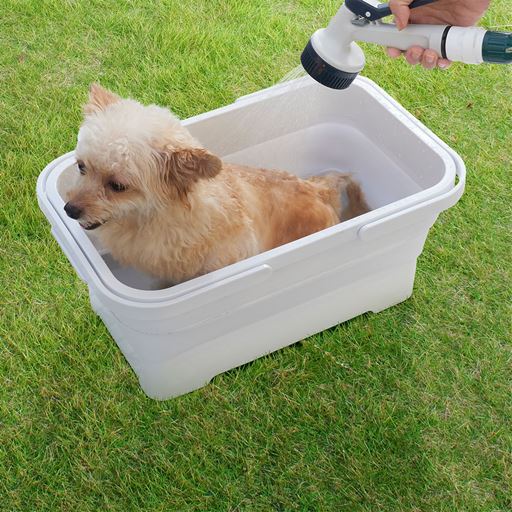 小型犬のお風呂タイムに