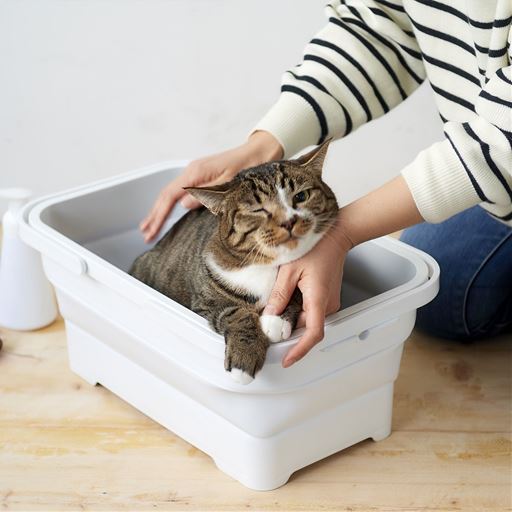 猫などペットのシャワータイムに