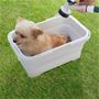小型犬のお風呂タイムに