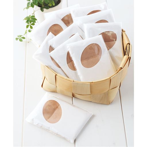 パンティストッキング 同色10足組 つま先メッシュ補強 セシール Cecile