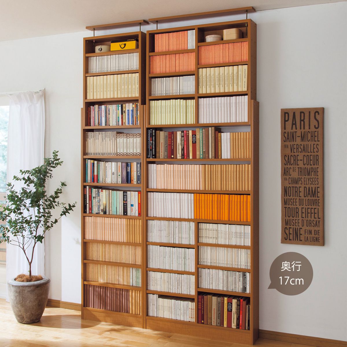 つっぱり壁面本棚 はば木よけで壁にぴったり 家具の通販ならセシール Cecile