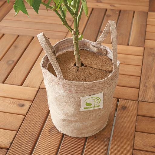 ベジタブルトートバッグ 家庭菜園キット トートバッグ型 インテリアの通販ならセシール Cecile ベジタブルトートバッグ 家庭菜園キット トートバッグ型 インテリアの通販ならセシール Cecile