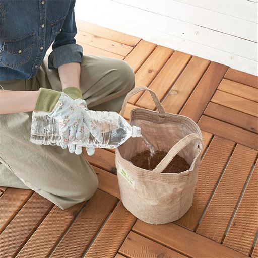 ベジタブルトートバッグ 家庭菜園キット トートバッグ型 セシール Cecile