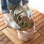 苗を植えたら、乾燥防止のココヤシマットを被せます。