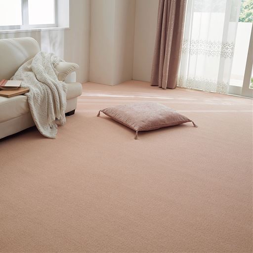 花粉 ダニ対策カーペット アレルキャッチャー 抗菌防臭 防炎 セシール Cecile