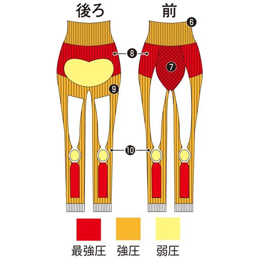 (6)ハイウエスト設計で脇腹スッキリ<br>(7)適度な着圧でポッコリお腹をカバー<br>(8)骨盤周りキュッと引き締め<br>(9)ヒップに沿ったCラインで丸みのある美ヒップに<br>(10)年齢が出やすい膝周りのタルタルお肉をキュッと引き締め