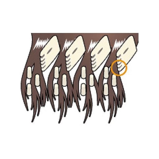 サローネ 家族で使えるヘアカット セシール Cecile