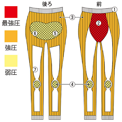 (1)お腹部分は適度な着圧でポッコリお腹をカバー!<br>(2)骨盤周りをサポートし、骨盤周りキュッ!<br>(3)ヒップに沿ったCラインが丸みのある美ヒップに!<br>(4)脚全体を引き締めて、スラッと美脚!<br>(5)年齢の出やすい膝周りのタルタルお肉をキュッと引き締め!<br>(6)足首から太ももに向け段階着圧で、重た～い脚もスッキリ!<br>(7)UVカット率約97%以上で紫外線から肌を守る!<br>※イメージ