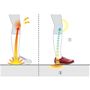(1)ひざへの衝撃を軽減<br>(2)衝撃を分散<br>SHM®機能はゴムの弾力でひざへの衝撃を吸収。さらにスクリュー構造が体重圧を分散し、効率的に負担を軽減します。