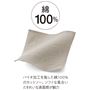 バイオ加工を施した綿100%のカットソー。ソフトな風合いときれいな表面感が魅力