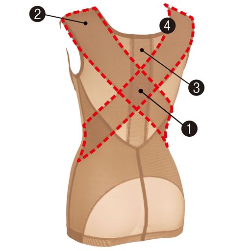 (1)クロスパネルが肩甲骨まわりを開き、整った姿勢に導く。(2)サイドから背中へと続くたすき状のパワーネットが肩を開き姿勢を整える。(3)背筋に沿って姿勢をサポートする生地をプラス。(4)ハイバック仕様で背中のお肉をすっきりおさえる。