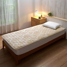 家庭用電位治療器イオネス アルファ