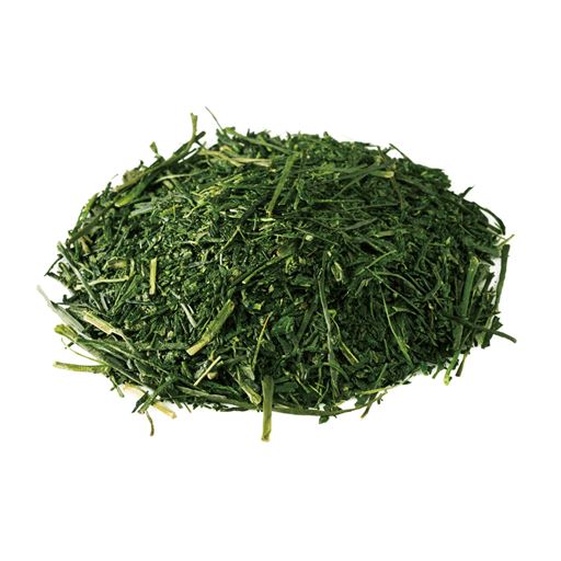 普通の緑茶