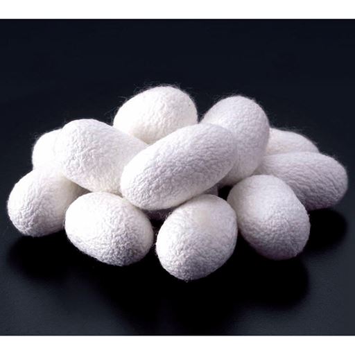 真綿は繭玉から糸になる前のわた状のもので、日本の伝統的な高級素材。1kgの真綿を作るために、約3000個の繭を使う貴重品です。