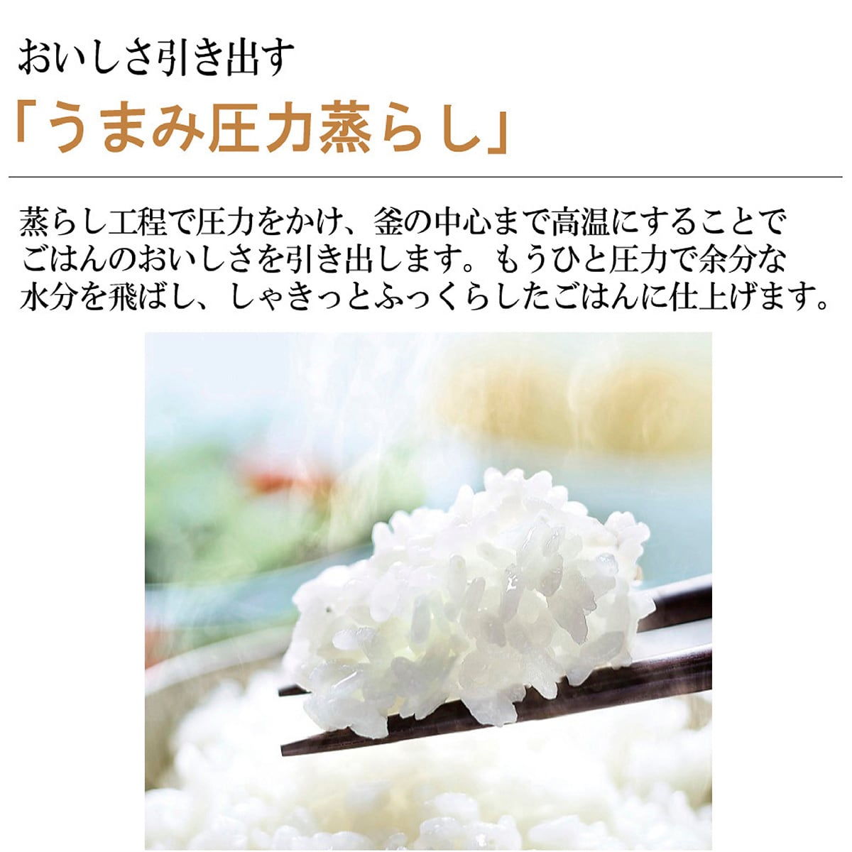 象印マホービン 圧力IH炊飯ジャー ［極め炊き］ 【5.5合/圧力IH炊飯器】 NP-ZU10 - インテリアの通販ならセシール(cecile)
