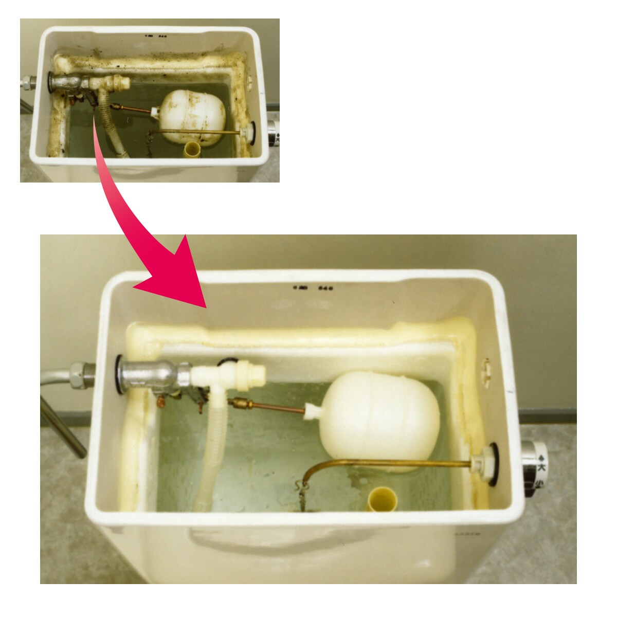 トイレタンク洗浄剤ex インテリアの通販ならセシール Cecile