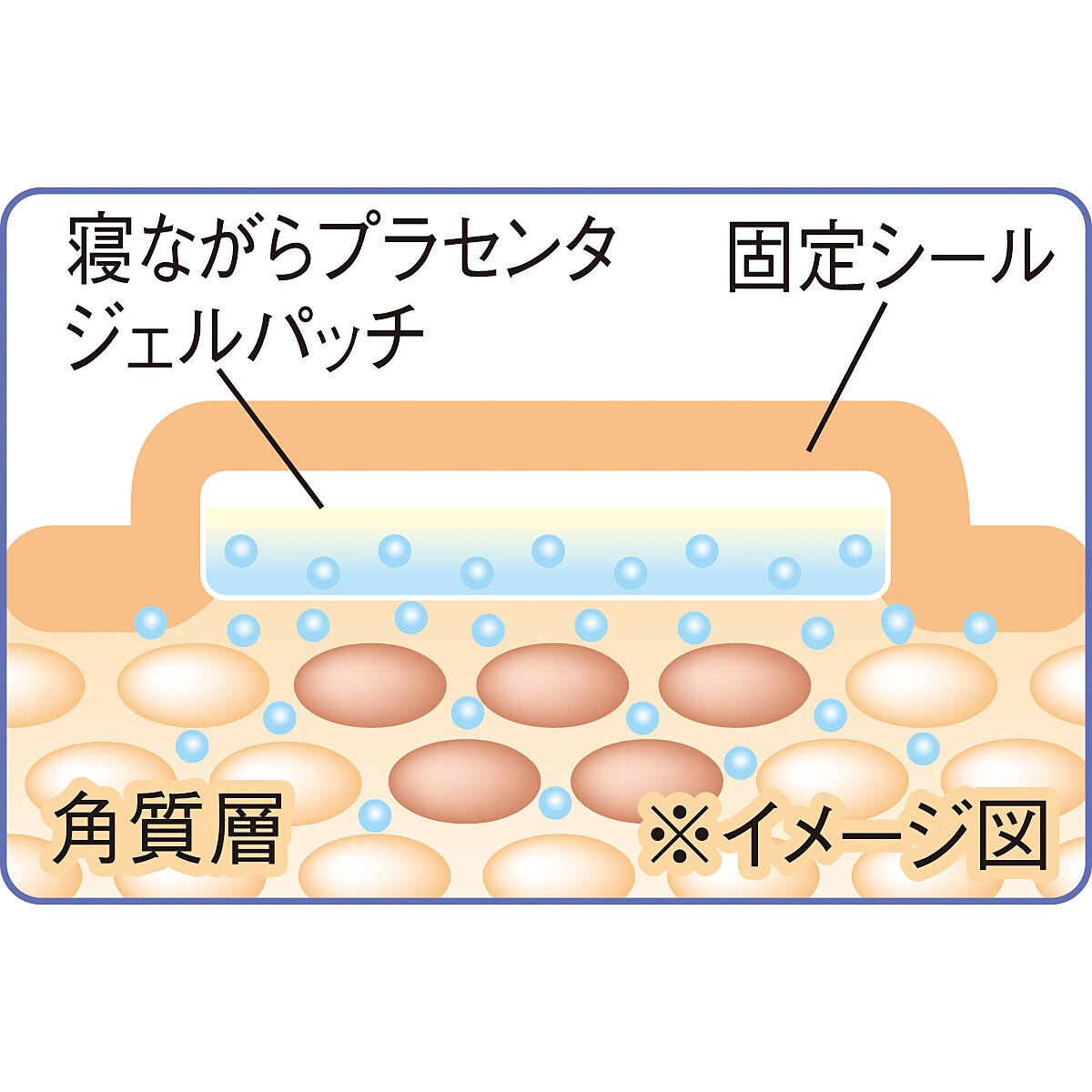 寝ながらプラセンタジェルパッチ(96枚) - 美容・健康商品の通販ならセシール(cecile)