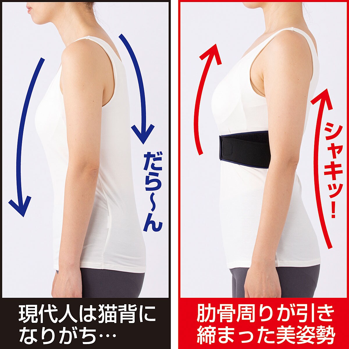 ととのう肋骨サポーター 美容 健康商品の通販ならセシール Cecile