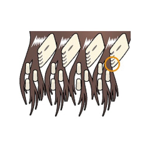 サローネ 家族で使えるヘアカット 美容 健康商品の通販ならセシール Cecile