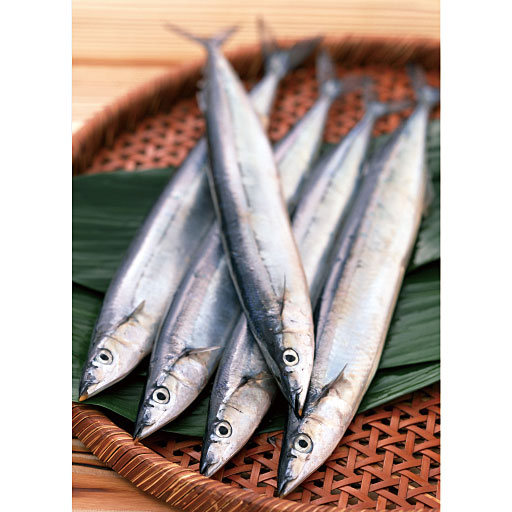 青魚からのサラサラの恵みをギュ!<br>※イメージ