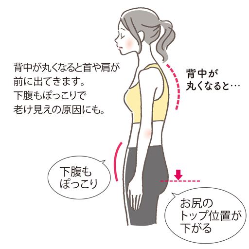 背中が丸くなると首や肩が前に出てきます。下腹もぽっこりで老け見えの原因にも。