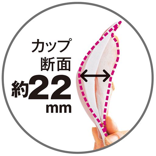 カップ断面 約22mm