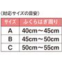 ※気分が悪くなったり、体調がすぐれない場合は、ご使用を中止してください