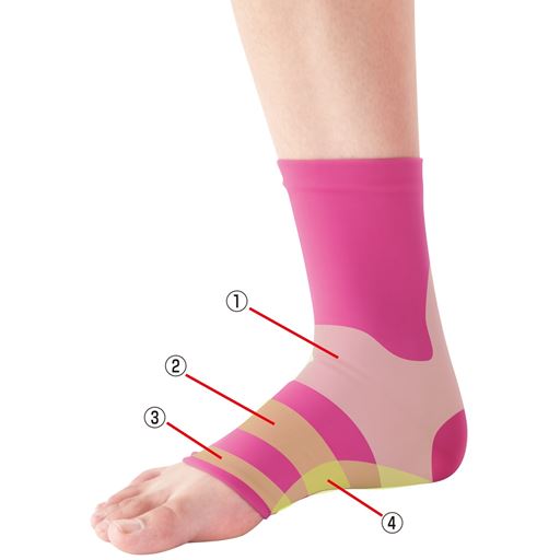 (1)足首・かかとを固定 (2)縦アーチサポート (3)指の付け根をサポート (4)足底筋サポート ※イメージ 実際はピンク一色です